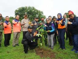 Kolaborasi Tanam Pohon BPBD Jatim Berlanjut ke Kabupaten Magetan, Kota Kediri dan Situbondo