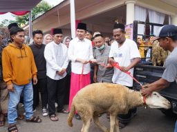 Gus Fawait Dilamar Pedagang Kambing dan Sapi Maju Bupati Jember 2024