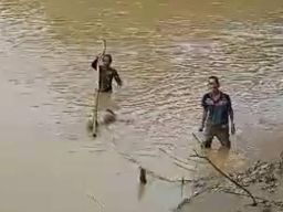 Jasad Didik Nugroho Ditemukan, Hanyut Sejauh 15 Km di Bengawan Madiun
