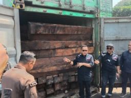 55 Kontainer Kayu Ilegal Asal Kalimantan Diamankan Gakkum KLHK di Dermaga Teluk Lamong Surabaya