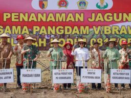 Pangdam V Brawijaya Pimpin Tanam Jagung Serentak di Wilayah Kodam V/Brawijaya