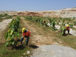 SIG Masuk Top 10 Emiten Bahan Baku Konstruksi dengan Rating ESG Terbaik di Asia Tenggara