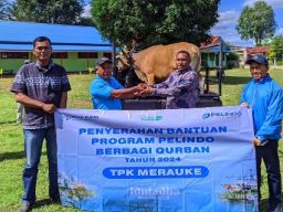 Idul Adha 1445 Hijriyah, Pelindo Petikemas Salurkan 215 Hewan Kurban