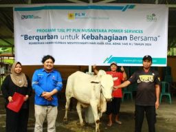 PLN Nusantara Power Salurkan 38 Ribu Paket Daging Hewan Qurban