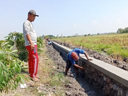 Desa Kedensari, Tanggulangin Bangun Plengsengan Normalisasi Pengairan Sawah TKD