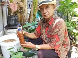 Manfaatkan Limbah Organik Jadi Pupuk Cair