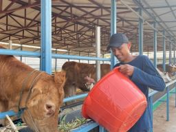 Komitmen Sinergi Sosial dan Lingkungan, PLN Nusantara Power Menangkan CID Award 2024