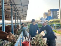 PLN Nusantara Power Hadirkan Solusi Hijau untuk Kemajuan Agrikultur Terpadu di Tuban