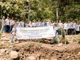 Peringati Hari Pahlawan, PLN UP3 Kediri Gandeng Perhutani dan Pemkot Kediri Tanam 1.000 Pohon
