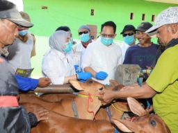 Tetapkan Status Darurat PMK, Pj. Gubernur Jatim Imbau Penanganan Dilakukan Cepat dan Holistik