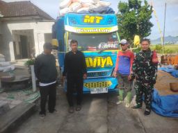 Bulog Serap 10 Ton Gabah Petani, Babinsa Tanggulwelahan Beri Pendampingan