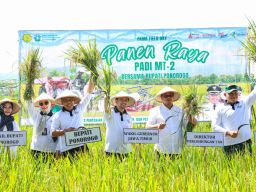 Wagub Emil Sebut Jatim Siap Jadi Pionir Swasembada Pangan Nasional