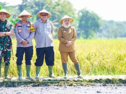 Gubernur Khofifah: Siap Menjaga Jatim Sebagai Lumbung Pangan Nasional