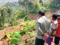 BPBD Jatim Turunkan TRC dan Tim Evakuasi Korban, Respon Cepat Tangani Longsor di Trenggalek 