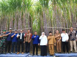 Gubernur Khofifah Luncurkan KURKhusus Petani Tebu Jatim