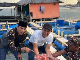 Keramba Kerapu di Pulau Sapeken: Ekosistem Ekonomi Kader Ansor untuk Ketahanan Pangan