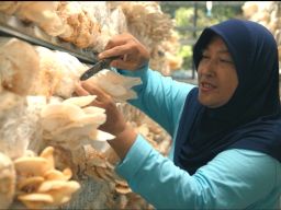 PLN Nusantara Power UP Gresik Melalui CSR Berkelanjutan Angkat Ekonomi Masyarakat 