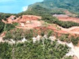 Bukan Cuma Soal Nikel: Uni Eropa Teriak, LSM Tampil, Siapa Di Balik Protes?