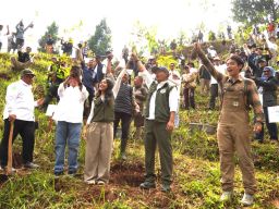 Kolaborasi PLN NP, WWF dan Kementerian Kehutanan Hijaukan Hulu Ciliwung