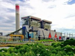 Laba Asosiasi PLN Nusantara Power Catat Rekor Tertinggi