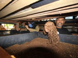 Ciptakan Ekonomi Sirkular Lewat Cacing, PLN Nusantara Power Bantu Warga Berdaya