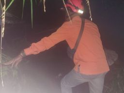 Tanah Longsor Terjadi di Kabupaten Bandung Barat, Satu Orang Meninggal