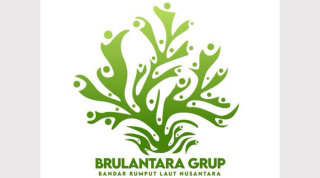 Hari Santri 2025, Santri Balad Grup Gaungkan 'Jihad Ketahanan Pangan' Rumput Laut