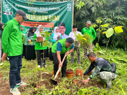 Bibit Pohon Ucapan Selamat Muswil PKB Jatim Ditanam Serentak di Berbagai Daerah