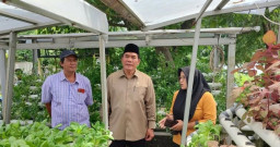 Bambang Haryo Puji Jurus Ibu-ibu Surabaya Atasi Krisis Pangan Mandiri