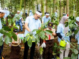 PLN Nusantara Power Tanam Pohon Di Hutan Organik Megamendung