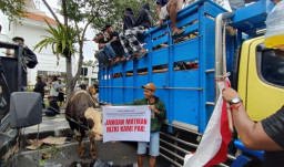 Jagal RPH Pegirian Geruduk Dewan, Protes Rencana Pindah ke Osowilangun