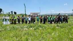 Ansor Tuban Panen Semangka Kuning, Siap Sokong Makan Bergizi Gratis