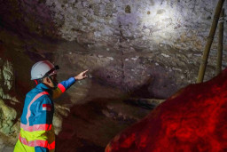 Warisan Dunia Bulu Sipong 4 Terjaga, Flora dan Fauna Bertambah