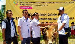 PTPN I Perkuat Ekonomi Jember, Salurkan Rp30,43 Miliar