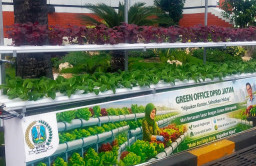 DPRD Jatim Ubah Halaman Jadi Kebun Hidroponik Produktif
