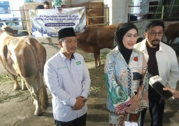 Ketua DPW NasDem Lita Machfud Arifin Menyerahkan Sapi Kurban ke PWNU Jatim