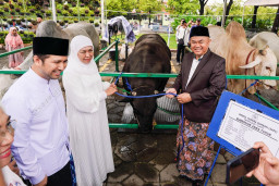 Gubernur Khofifah, Wagub Emil dan Keluarga Salat Idul Adha di Masjid Nasional Al Akbar Surabaya