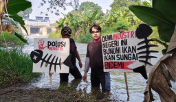 Sampah Plastik, Alih Fungsi Bantaran, Penurunan Keanekaragaman Ikan, Ancaman Mikroplastik