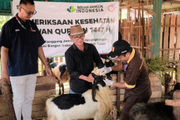 SIG Salurkan 292 Hewan Kurban di 19 Provinsi