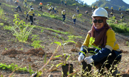 Merdeka Copper Gold Reklamasi 143 Hektare Lahan Tambang