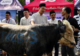 XLSMART Gelar Qurban Satu Rasa di 27 Kota Indonesia