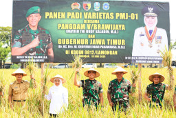 Capai 7,71 Juta Ton GKG, Gubernur Khofifah: Bukti Ketangguhan Petani