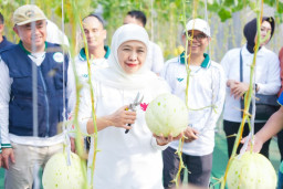 Gubernur Khofifah Resmikan Al-Akbar FishTech dan Panen Melon Urban Farming 
