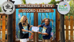 Kolaborasi PLN Nusantara Power dan Relawan Selamatkan Generasi Penyu Indonesia