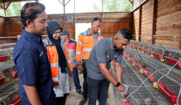SIG Ubah Sampah Kelapa di Pantai Lampuuk Jadi Pakan Ternak, Biaya Peternak Turun 60 Persen