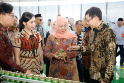 Gubernur Khofifah Resmikan PT Sunrise Masami Internasional di Banyuwangi