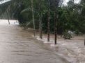 Di Kabupaten Aceh Jaya, 20 Desa Terendam Banjir
