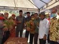 Petani Bantul Panen Bawang Merah Organik di Tengah Pendemi 