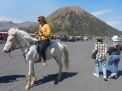 Wisata Bromo Mulai Bergeliat