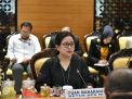 Ini Pernyataan Ketua DPR RI Puan Maharani Soal Virus Corona